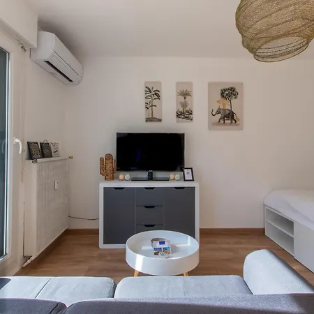 Clementine * Montpellier